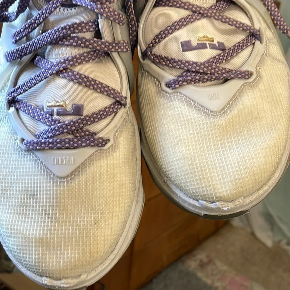Nike LeBron James XIX 19 Phantom White Canyon Purple